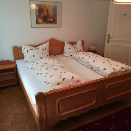 Apartment Froschkoenig Gladenbach Экстерьер фото